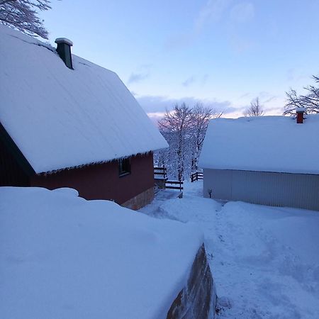 Vila Darija Žabljak Dış mekan fotoğraf
