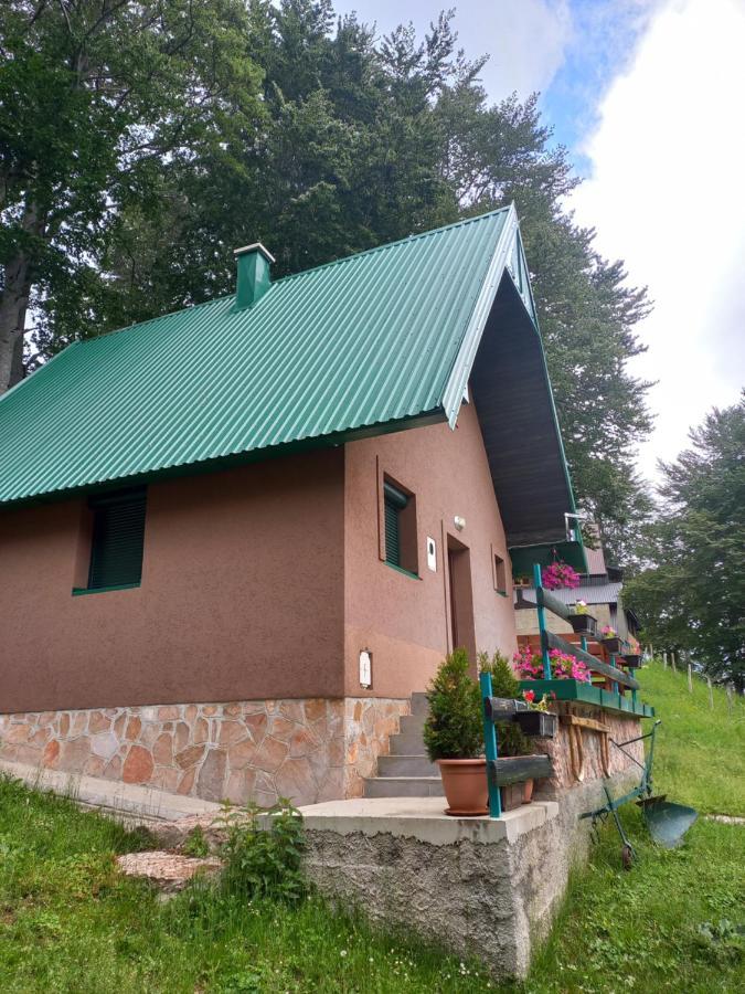 Vila Darija Žabljak Dış mekan fotoğraf