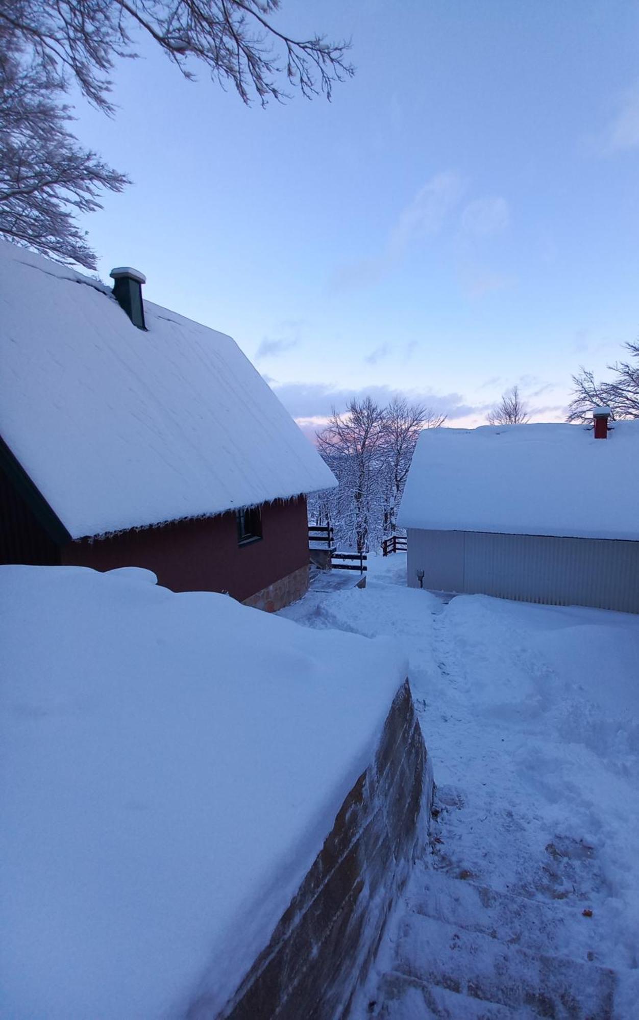 Vila Darija Žabljak Dış mekan fotoğraf